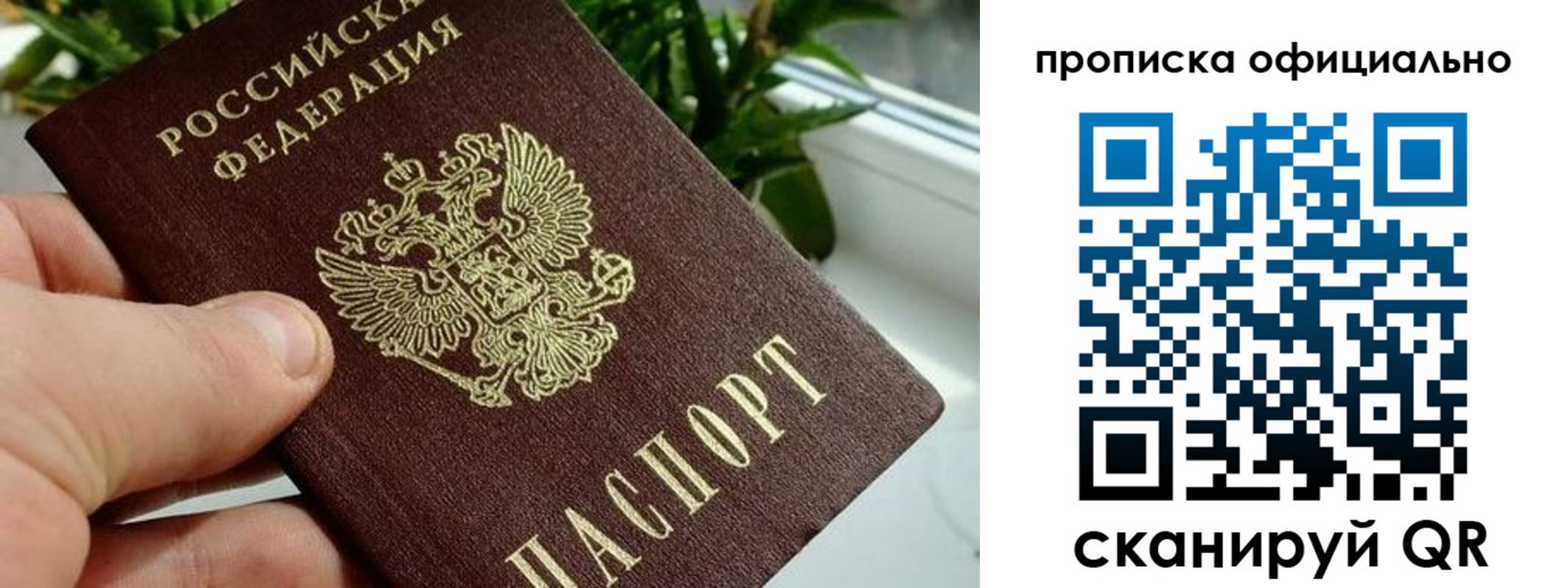 прописка поиск в Корсакове